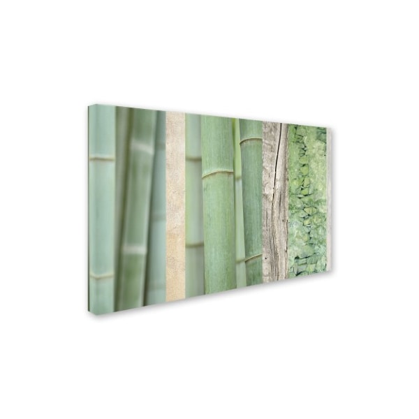 Cora Niele 'Green Bamboo Collage' Canvas Art,30x47